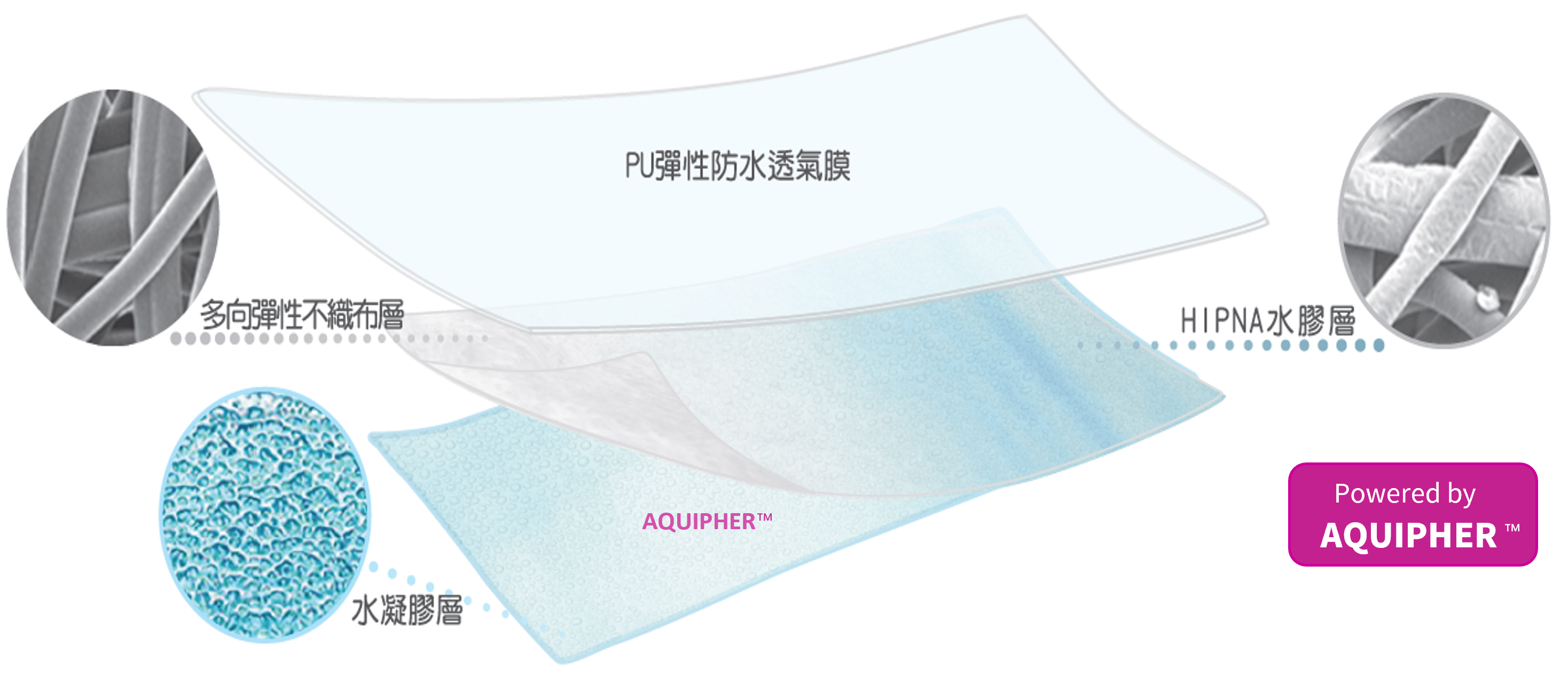 gelskin structure | 萬宇康有限公司 | 萬宇康有限公司